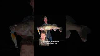 Fishing tips for walleye Alec fishingvideos fishingtips walleye [upl. by Kovar183]