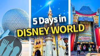 The ULTIMATE 5 Day Disney World Trip Itinerary [upl. by Brunell22]