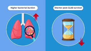 Bacterial Burden in CLAD Patients Predicts Survival and Azithromycin Response [upl. by Anidan157]