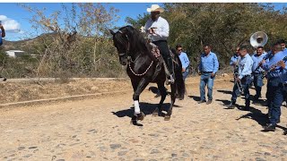 Cabalgata San Felipe de Híjar Jalisco 03 febrero 2024 [upl. by Alpheus]