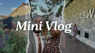 Roora day vlog  Roora squad Zimbabwean youtubers [upl. by Oralie]