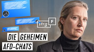 Geheime Chatgruppe So redete die AfDFraktion im Bundestag  STRGF [upl. by Alim]