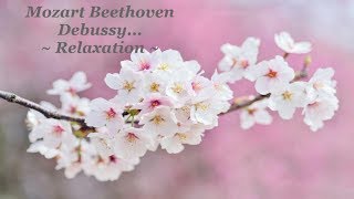 Compilation de Musiques Classiques Relaxantes au Piano  Mozart Debussy Beethoven 🎵 [upl. by Ihtac789]