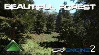 CryEngine 2  Beautiful Forest  Presentation by MRGV [upl. by Acirederf998]