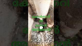 corner concrete holeplumbing construction home house shorts short shortsfeed shortvideo [upl. by Ahsenot]