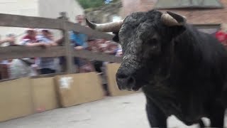 Encierros El Boalo Fiestas 2017 [upl. by Dobson591]