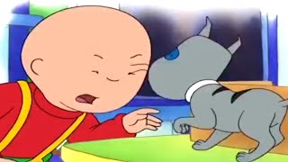 Caillou en Español  Caillou y el Pequeño Gatito  Dibujos animados para niños  Dibujos Infantiles [upl. by Addam986]