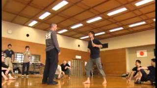 Brendon Zettler Systema Japan March 2012 Tokyo Seminar [upl. by Ludwigg]