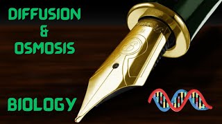 Diffusion and Osmosis GCSE Biology Recorded in Lesson edexcel aqa ocr gcsescience [upl. by Okika]