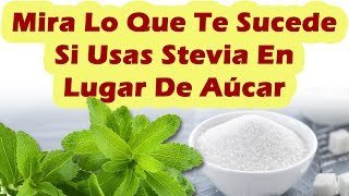 ESTO ES LO QUE TE SUCEDE SI USAS STEVIA EN LUGAR DE AZUCAR Para Que Sirve La Stevia y Sus Beneficios [upl. by Cirde680]