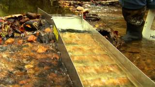 How to Sluice for Gold Gold Fever Ep164 Clip [upl. by Gisella]