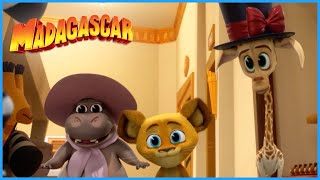 Dressing up time  DreamWorks Madagascar [upl. by Thorny]