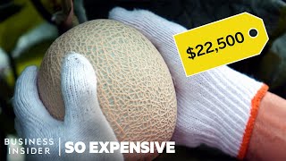 Why Japanese Melons Are So Expensive  So Expensive [upl. by Bergstein875]