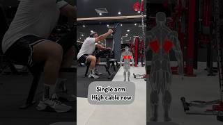 Single arm high cable row [upl. by Cathrin]