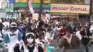 Haruhi dance at akihabara and police stopped it [upl. by Nihi]