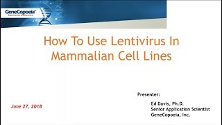 How To Use Lentivirus In Mammalian Cell Lines [upl. by Ainniz]