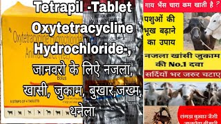 Oxytetracycline Hydrochloride Tablets Tetrapil tablets for Animal Use जानवरो मे उपयोग ली जाने वाली [upl. by Wrdna899]