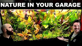 Freshwater Biologists AMAZING Garage Aquariums [upl. by Atteynek502]