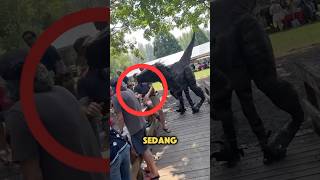 Penampakan dinosaurus di tempat wisata😱 [upl. by Oika]