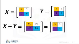 17 Numpy 2D Arrays [upl. by Rexer]