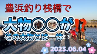 豊浜釣り桟橋であの大物が…‼️ 20230604 [upl. by Ativ]