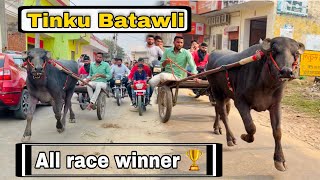 Jhota race  Tinku Batawli [upl. by Hennahane]