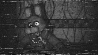 THE MOST TERRYIFING FNAF VHS TAPES YOU WILL EVER SEE [upl. by Enreval903]