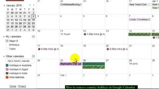 How to remove country holidays in Google Calendar [upl. by Lenard]