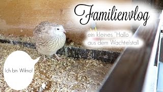 FAMILIENVLOG  Wir besuchen alle Omas  JuMarie [upl. by Liagibba]