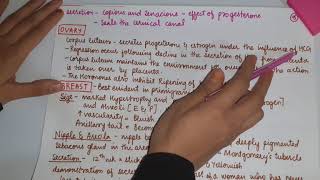 Physiological changes during pregnencypart 1obstetricsobgyDrSCGMC Nandedfinal year MBBS [upl. by Zeb]