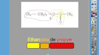 Nomenclature 33 [upl. by Ihsorih]