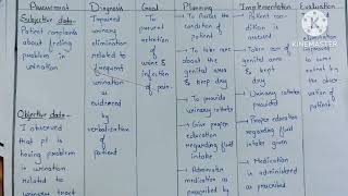 Nursing care plan on patient with Urinary tract Infection ll nursingcareplan ncp pediatrics [upl. by Bashemeth]