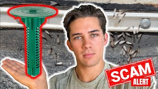 The Biggest SCAM in Pest Control  Termite Bait Stations [upl. by Anerahs]