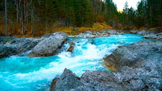 Mountain River Waterfall Flowing 247 Water Sounds Nature White Noise River Sounds for Sleeping [upl. by Erde]