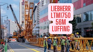 LIEBHERR LTM1750  91 with 56m Luffing Jib Setup  Part Two [upl. by Eneirda]