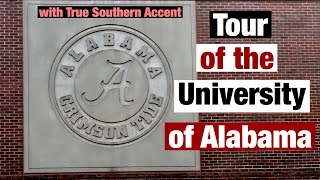 Tour of the University of Alabama in Tuscaloosa AL with True Southern Accent [upl. by Jakob831]