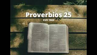 Proverbios 25  Reina Valera 1960 Biblia en audio [upl. by Silliw424]