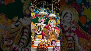 Radha raman ❤️varindavan radheradhe varindavandham haribol punjab [upl. by Nellie]