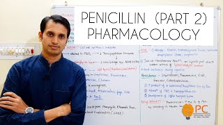 Pharmacology of Penicillin  BetaLactam Antibiotics  Mechanism of Action of Penicillin [upl. by Atiuqrahs852]