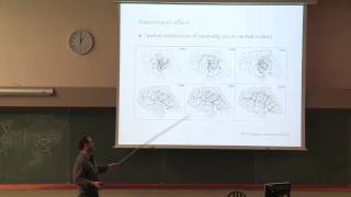 Marc Barthélémy quotSome practical problems about planar graphs time evolution and typologyquot [upl. by Nnylg]