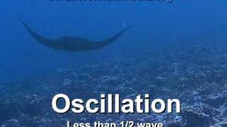 Undulation vs Oscillation [upl. by Dryfoos]