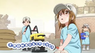 Sayangi Trombositmu ada loli dalam nadi  HATARAKU SAIBOU [upl. by Septima]