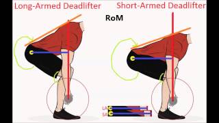 Powerlifting Leverages [upl. by Sirrad732]