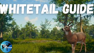 Mississippi Acres Whitetail Deer Guide TheHunter Call Of The Wild 2023 [upl. by Will]