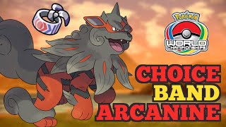 The POWER of Choice Band Arcanine  VGC Regulation E pokepaste [upl. by Oiralednac]