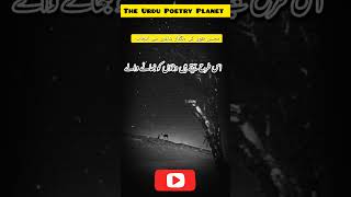 Mohsin Naqvis Most Sad Poetry Lines💔 mohsinnaqvi urdupoetry poetry mohsinnaqvishayari [upl. by Baruch154]