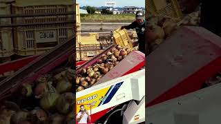 Chinese innovations baffle the world a machine for harvesting onions onions onion shortsfeed vn [upl. by Metzgar506]