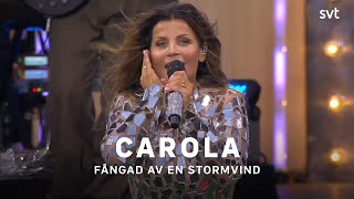 Carola  Fångad av en stormvind  Allsång på Skansen 2023  SVT [upl. by Dat]