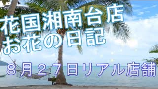 ８月２７日花国湘南台店リアル店舗flowers 花屋＃アレンジメント＃バラプレゼント＃お花＃花束＃いわき市＃小名浜＃フラワーショップ 花国 胡蝶蘭 [upl. by Hahn34]