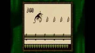 Donkey Kong Land Gameboy 100 29 [upl. by Akineg]